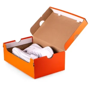 Cardboard Shoe Box